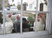 Bed and Breakfast Northamptonshire